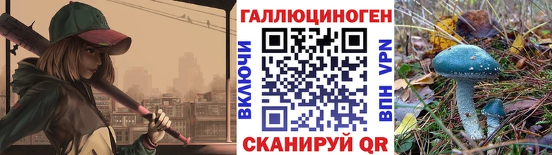 Галлюциногенные грибы Psilocybe  Нязепетровск 